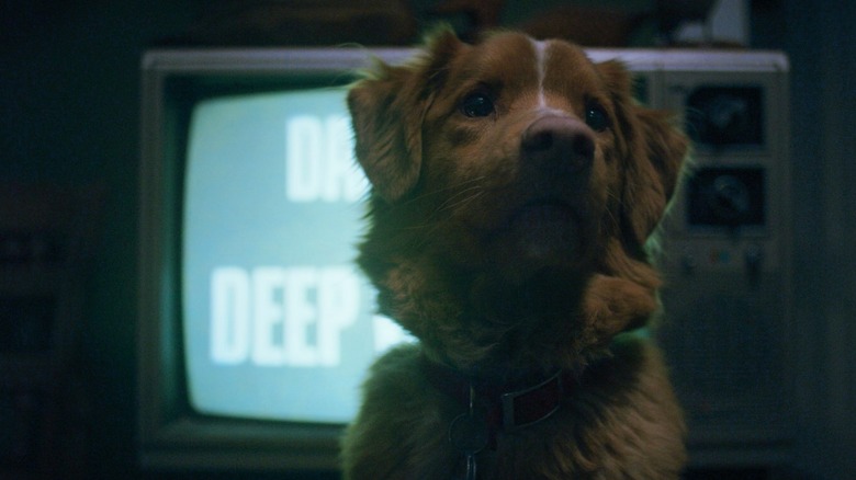 Paris Filmes lança trailer de “Bom Menino” 🐾🖤