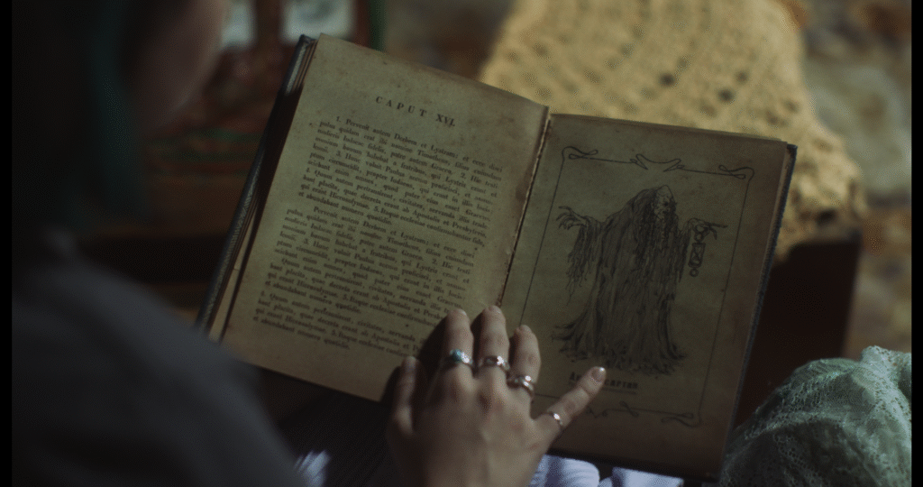 🕯️💀 “Apanhador de Almas” estreia hoje nas plataformas digitais! 👻✨